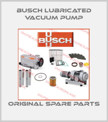 Busch Lubricated Vacuum Pump