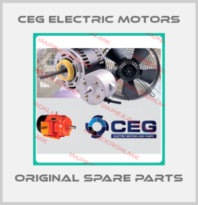 CEG Electric Motors