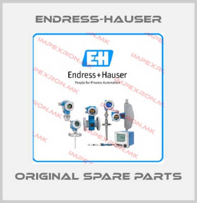 Endress-Hauser