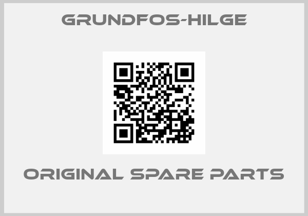 Grundfos-Hilge