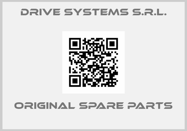 DRIVE SYSTEMS s.r.l.