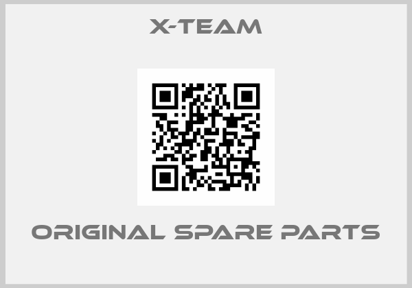 X-TEAM