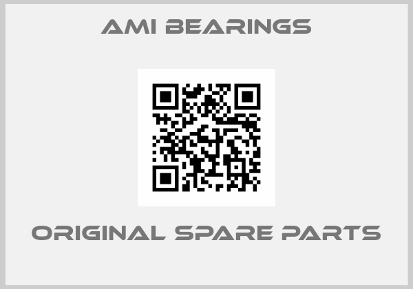 AMI BEARINGS