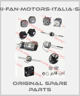 fmi-fan-motors-italia-srl