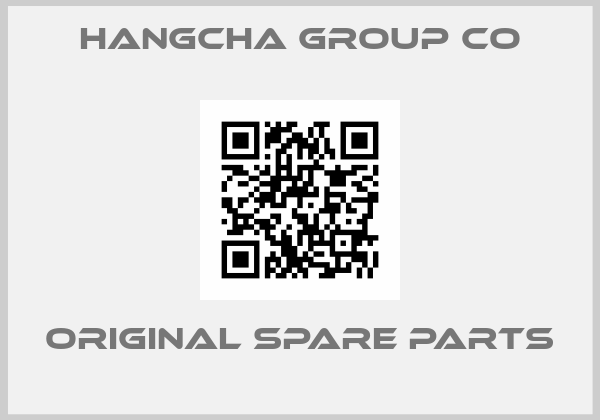 Hangcha Group Co