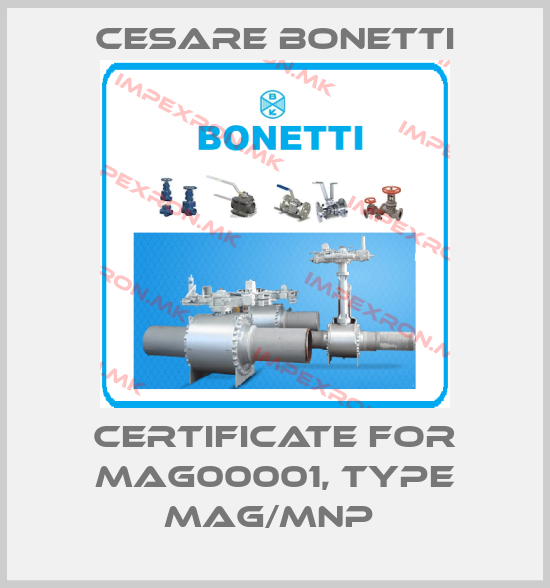 Cesare Bonetti-Certificate for MAG00001, type MAG/MNP price