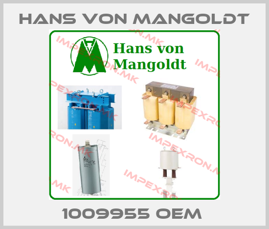 Hans von Mangoldt Europe