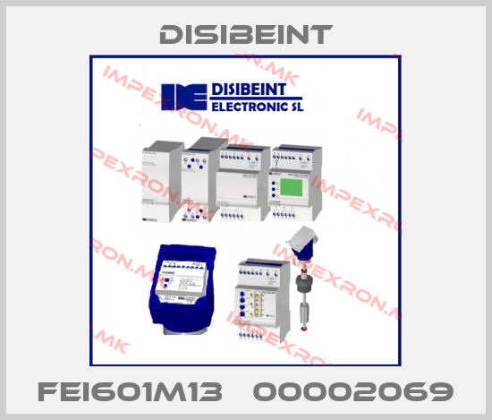 Disibeint-FEI601M13   00002069price