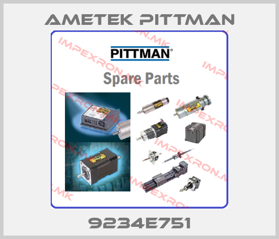 Ametek Pittman-9234E751price