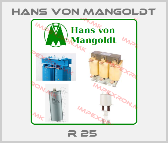 Hans von Mangoldt Europe