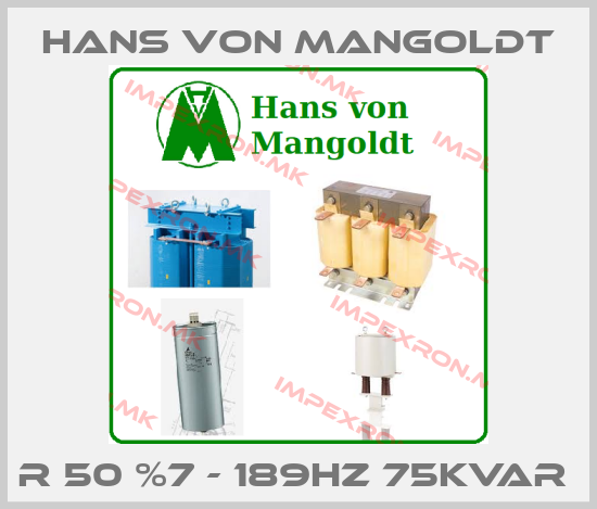 Hans von Mangoldt Europe