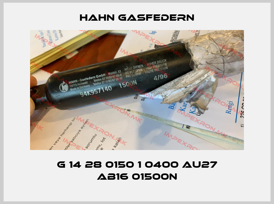 Hahn Gasfedern Europe