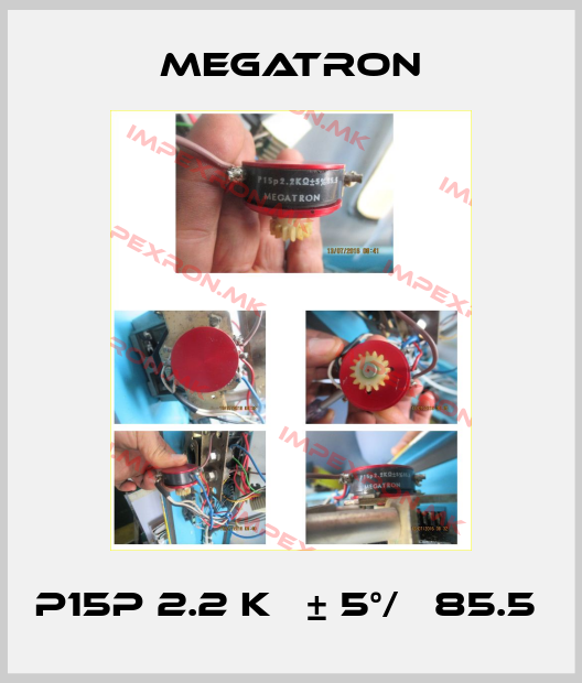 Megatron-P15P 2.2 KΩ ± 5°/ₒ 85.5 price