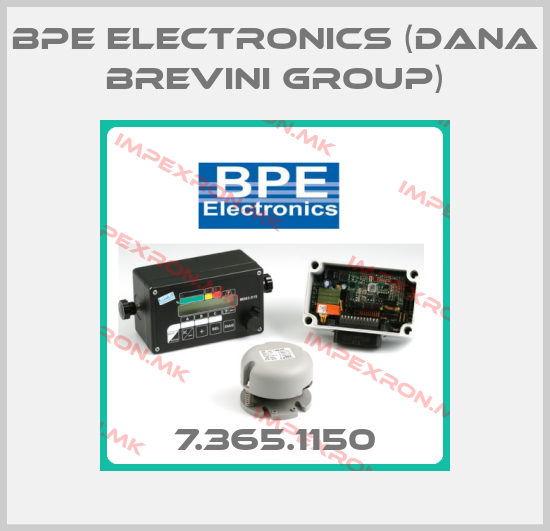 BPE Electronics (Dana Brevini Group) Europe