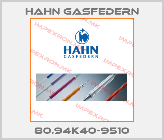 Hahn Gasfedern Europe