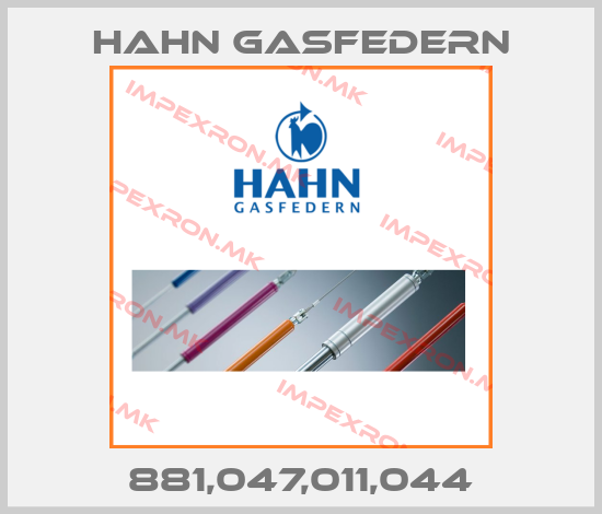 Hahn Gasfedern Europe