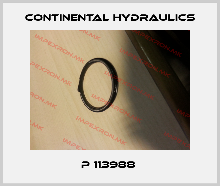 Continental Hydraulics Europe