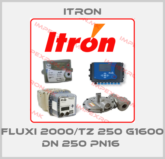 Itron-FLUXI 2000/TZ 250 G1600 DN 250 PN16 price