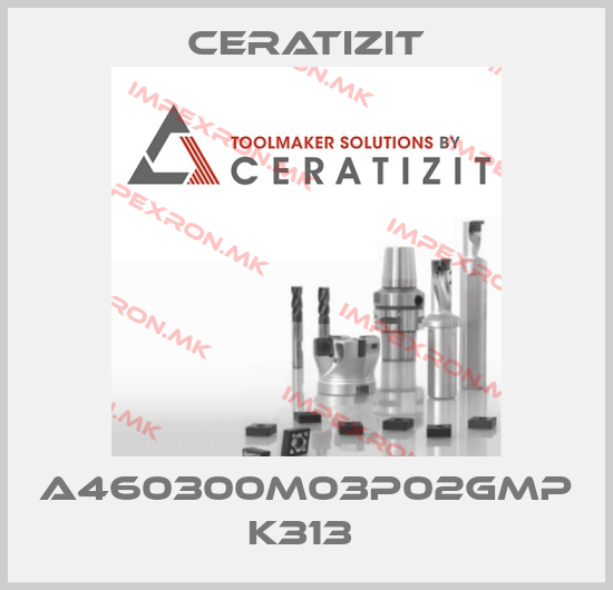 Ceratizit-A460300M03P02GMP K313 price