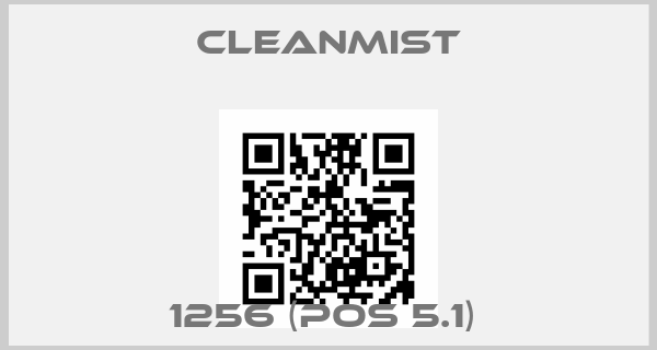 CleanMist Europe