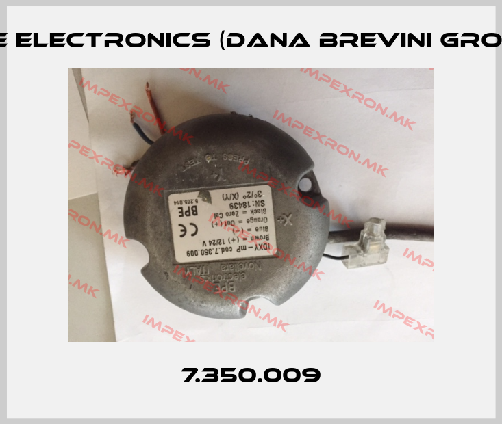 BPE Electronics (Dana Brevini Group) Europe