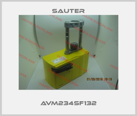 Sauter-AVM234SF132price