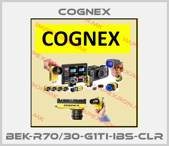 Cognex Europe