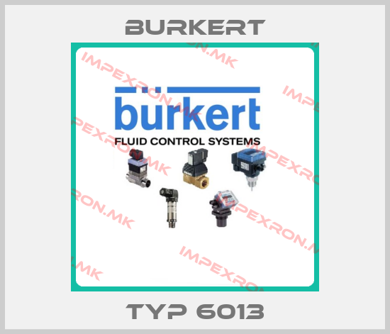 Burkert-Typ 6013price