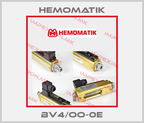 Hemomatik Europe