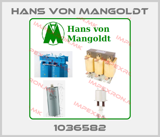 Hans von Mangoldt Europe