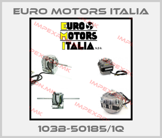 Euro Motors Italia Europe