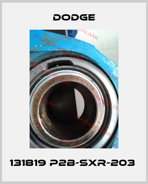 Dodge-131819 P2B-SXR-203 price