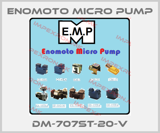 Enomoto Micro Pump Europe