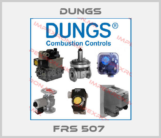 Dungs-FRS 507 price