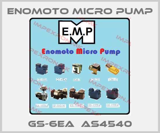 Enomoto Micro Pump Europe