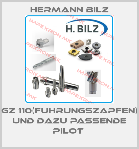 Hermann Bilz Europe