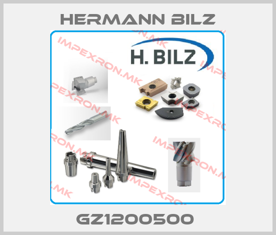 Hermann Bilz Europe