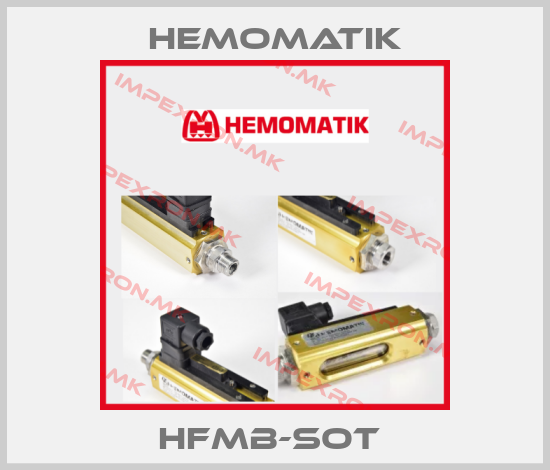 Hemomatik Europe