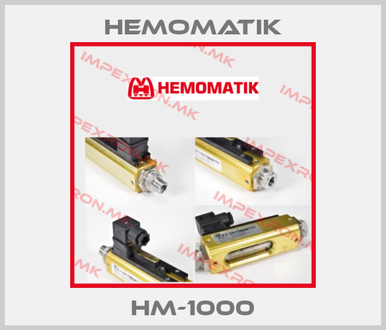 Hemomatik Europe