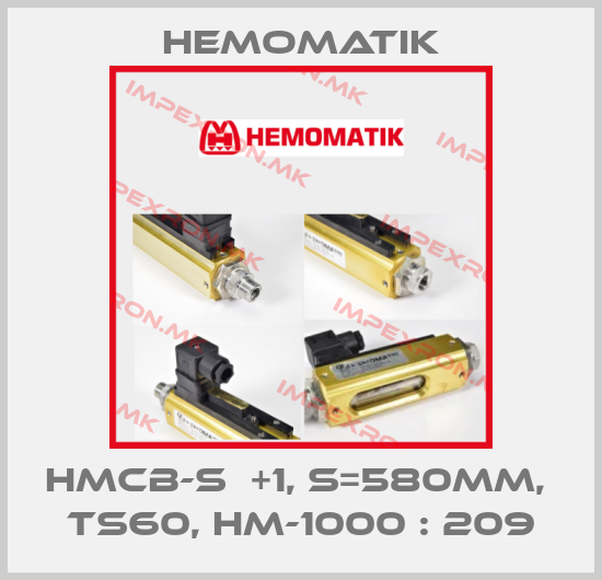 Hemomatik Europe