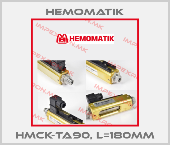 Hemomatik Europe