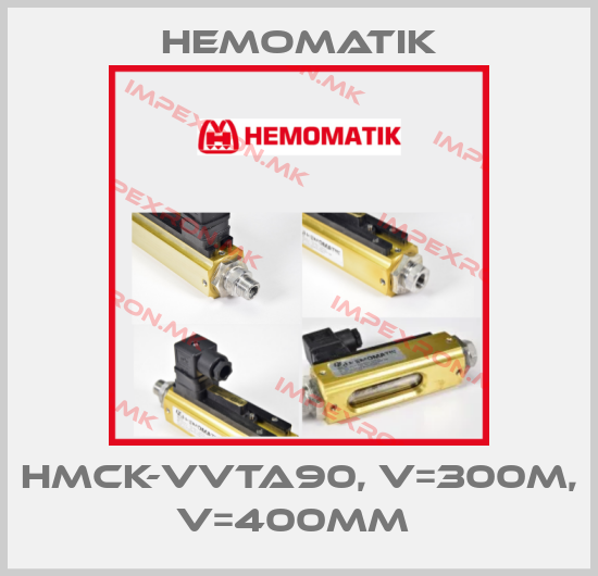 Hemomatik Europe