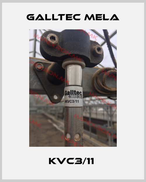 Galltec Mela Europe