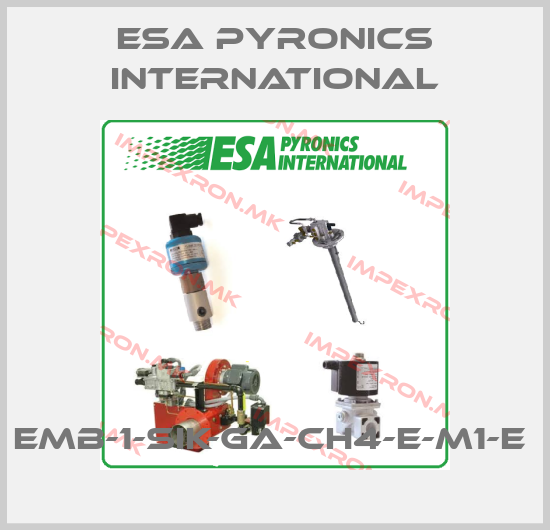 ESA Pyronics International-EMB-1-SIK-GA-CH4-E-M1-E price