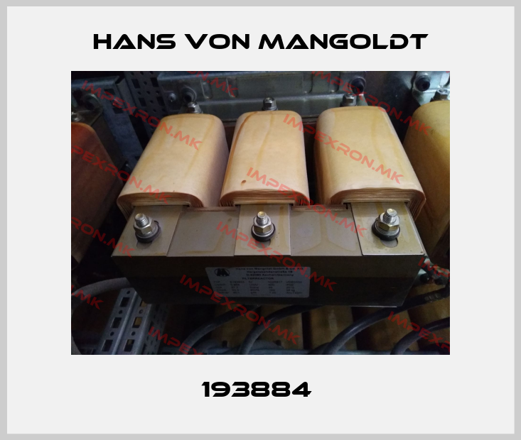 Hans von Mangoldt Europe