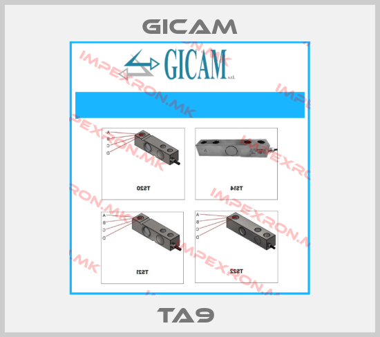 Gicam Europe