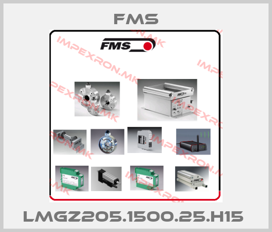 Fms Europe