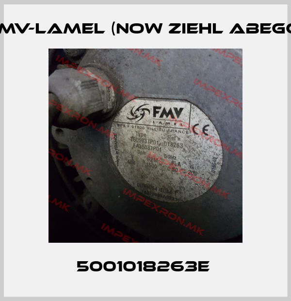 FMV-Lamel (now Ziehl Abegg) Europe