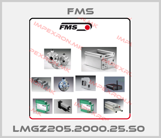 Fms Europe