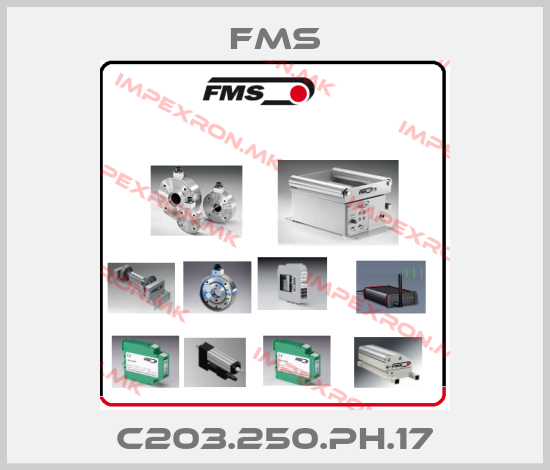 Fms Europe